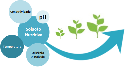 fatores crescimento hidroponia
