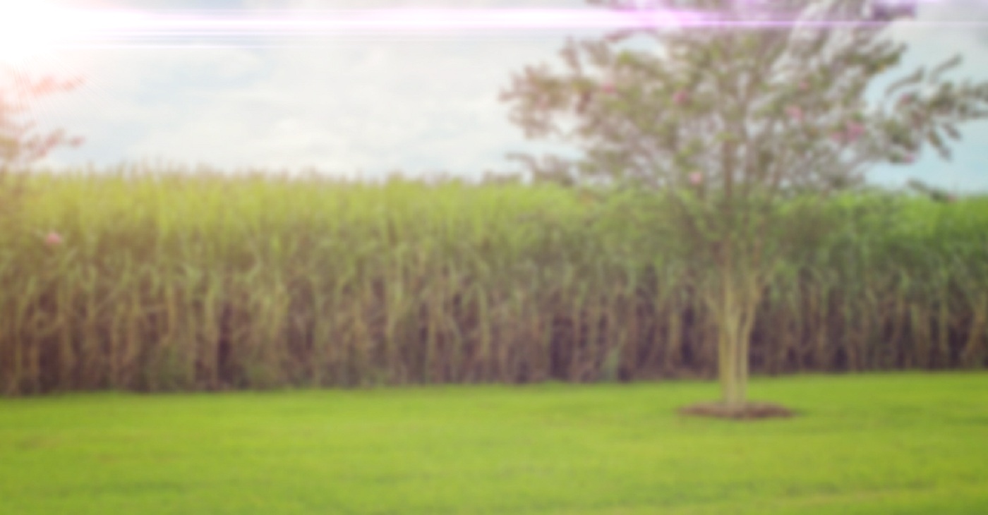 monitoramento da qualidade do solo